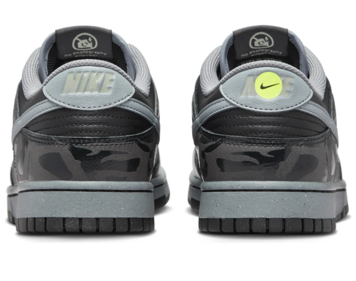 Nike Dunk Low Sneakers – Berlin | FZ3053-001